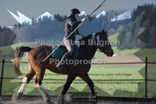 ref. photo 3554320