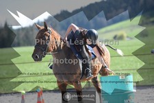 ref. photo 3554326