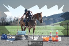 ref. photo 3554331