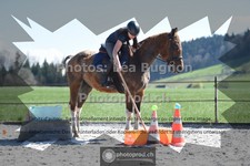 ref. photo 3554332