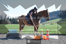 ref. photo 3554333