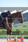 ref. photo 3554334