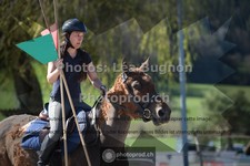 ref. photo 3554339
