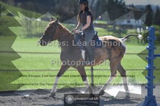 ref. photo 3554342