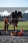 ref. photo 3554351