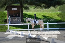 ref. photo 3554371