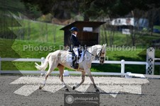 ref. photo 3554377
