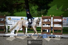 ref. photo 3554381