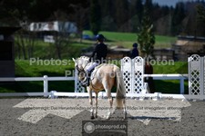 ref. photo 3554384