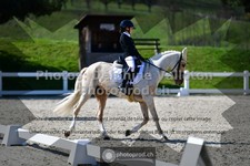 ref. photo 3554387