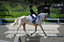 ref. photo 3554388