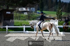 ref. photo 3554389