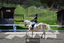 ref. photo 3554398
