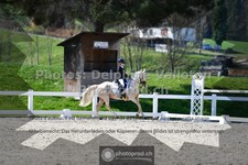 ref. photo 3554399