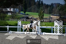 ref. photo 3554400