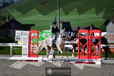 ref. photo 3554402
