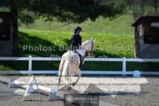 ref. photo 3554406