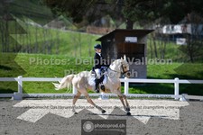 ref. photo 3554408