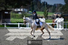 ref. photo 3554410