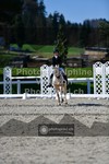 ref. photo 3554412