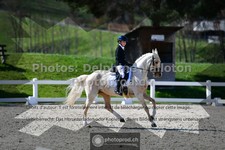 ref. photo 3554420