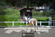 ref. photo 3554435