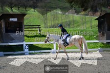 ref. photo 3554436