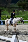 ref. photo 3554440