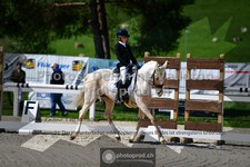 ref. photo 3554449
