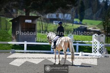 ref. photo 3554453