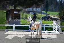 ref. photo 3554454