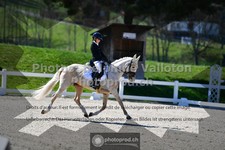 ref. photo 3554457