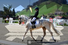 ref. photo 3554462