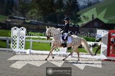 ref. photo 3554470