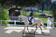 ref. photo 3554471