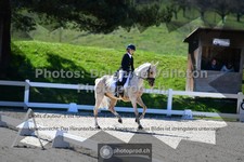 ref. photo 3554476