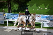 ref. photo 3554480