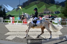 ref. photo 3554481