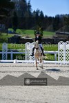 ref. photo 3554482