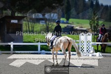 ref. photo 3554485