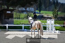 ref. photo 3554486