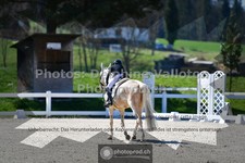 ref. photo 3554487