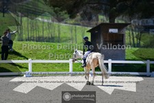 ref. photo 3554488