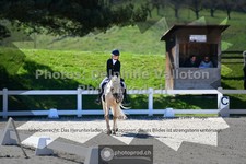 ref. photo 3554489
