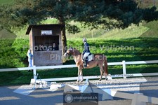 ref. photo 3554493