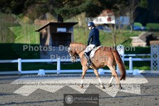ref. photo 3554507