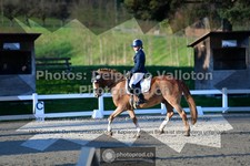 ref. photo 3554508