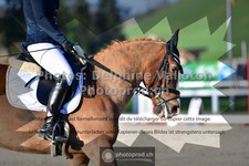 ref. photo 3554510