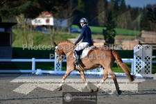 ref. photo 3554514