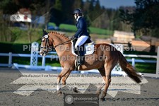 ref. photo 3554520